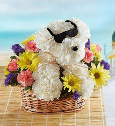 Cool Pup Davenport Florist - Same Day Flower Delivery - Flower Power 
